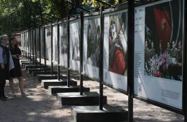 Фотовыставка расскажет историю космонавтики