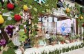 Сеть Русских домов расширяется