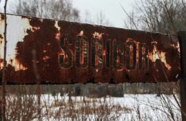 Историк призвал помнить о героях Собибора