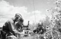 История связиста пополнила проект Музея Победы