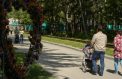 Два города стали семейными столицами России